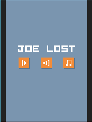Joe Lost 
